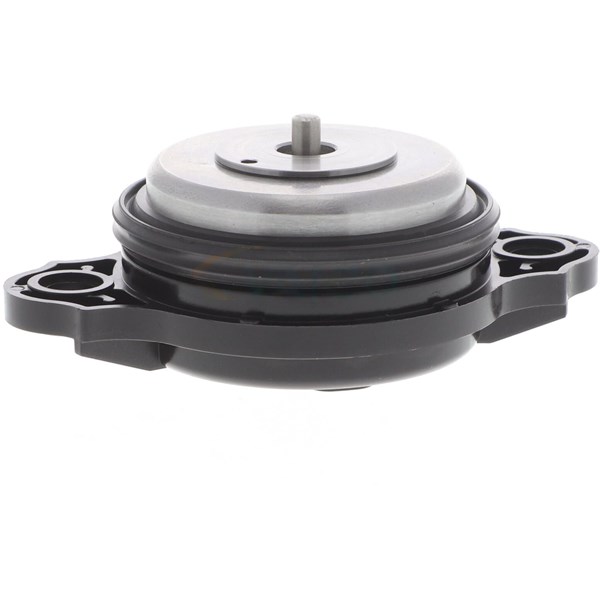 Centralmagnet, kamaxeldtällning, Insugssidan, Avgas-/utsläppssida Centralmagnet, kamaxeldtällning, Insugssidan, Avgas-/utsläppssida