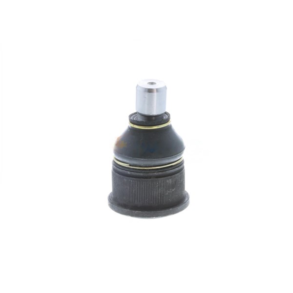 Kulled / Spindelled, Framaxel