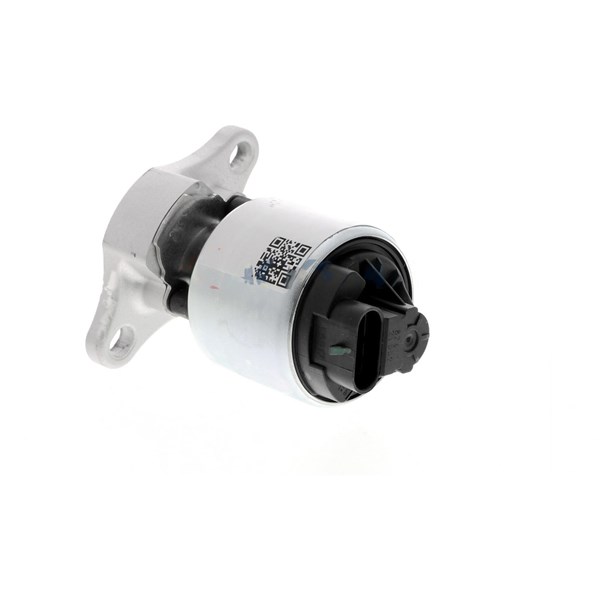 Egr-ventil Expert kits +