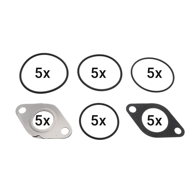 Packningssats, EGR-system VEMO