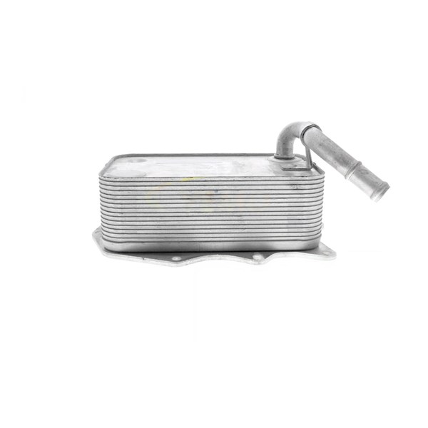 Oljekylare, motor