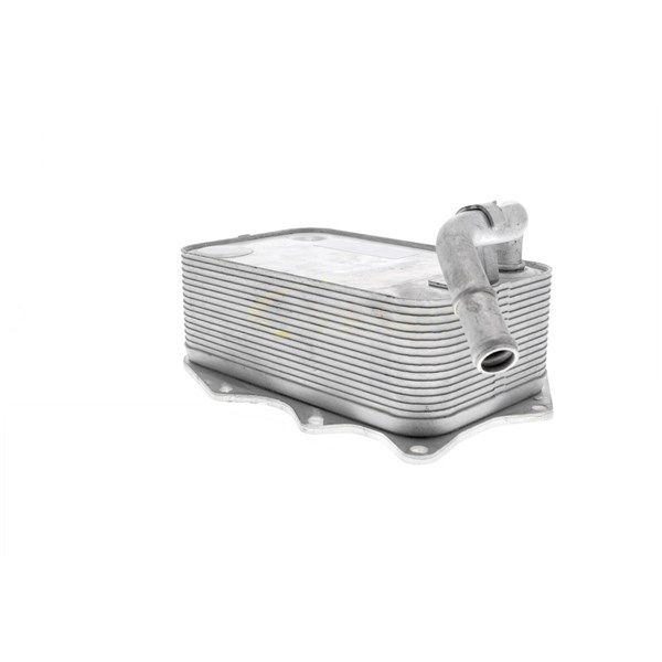 Oljekylare, motor
