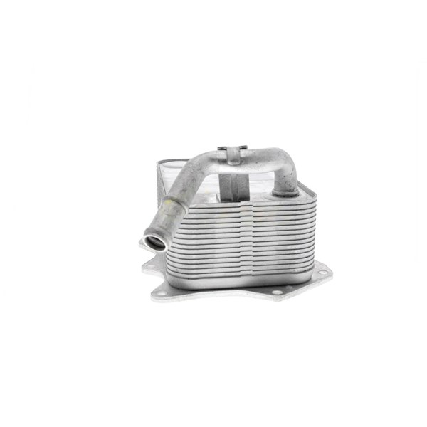Oljekylare, motor