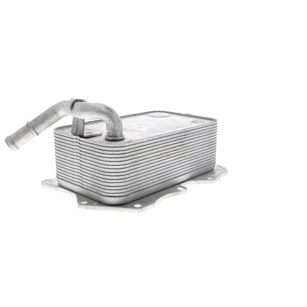 Oljekylare, motor