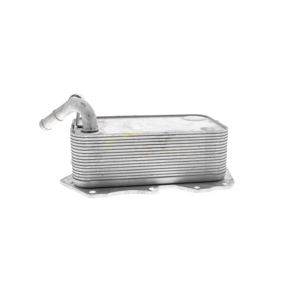 Oljekylare, motor