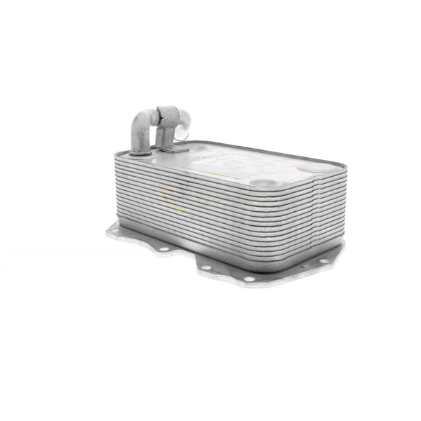 Oljekylare, motor