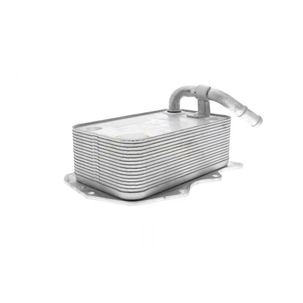 Oljekylare, motor