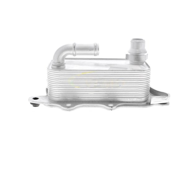 Oljekylare, motor