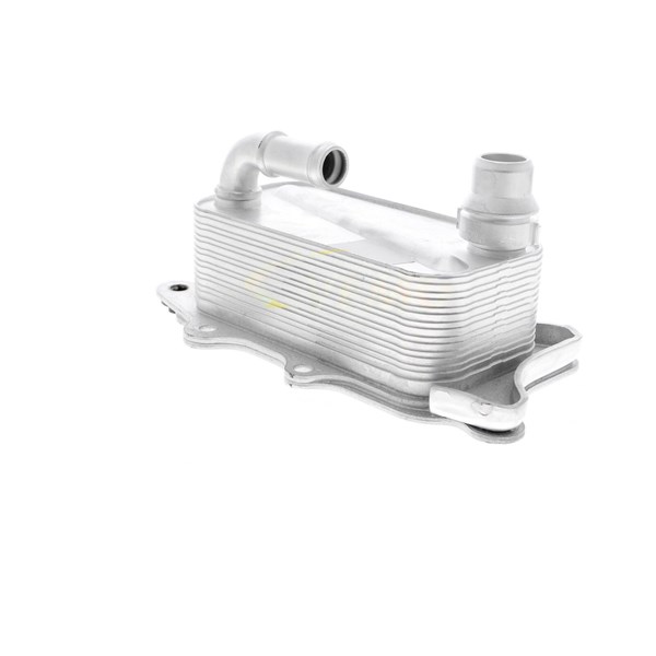 Oljekylare, motor