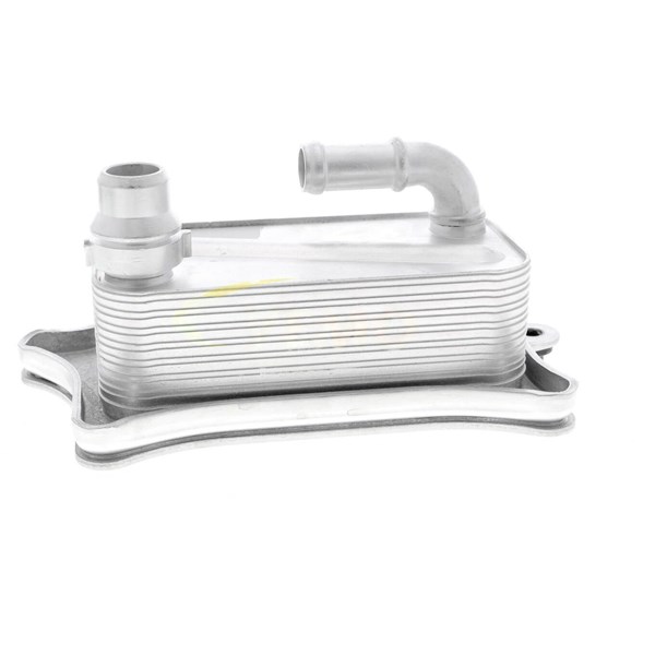 Oljekylare, motor