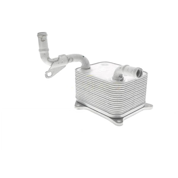 Oljekylare, motor