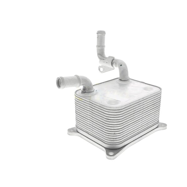 Oljekylare, motor