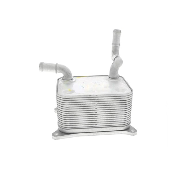 Oljekylare, motor