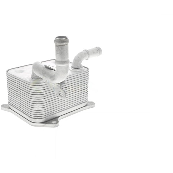 Oljekylare, motor