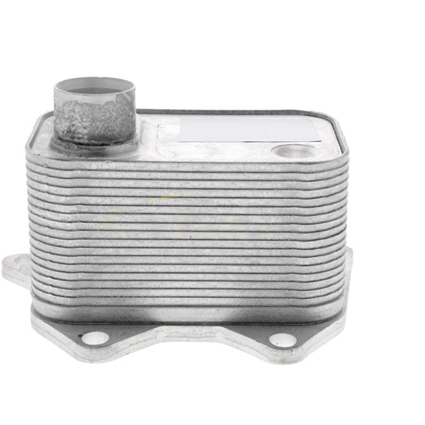 Oljekylare, motor