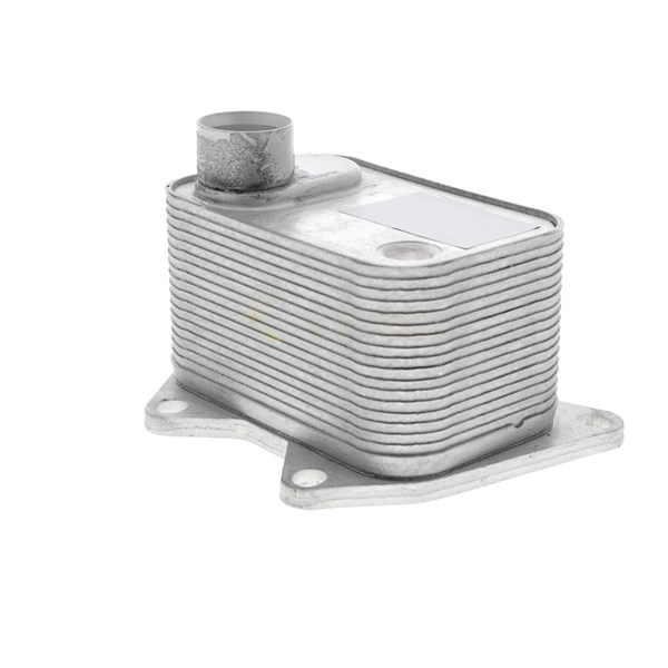 Oljekylare, motor