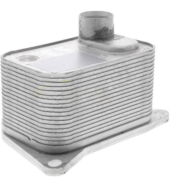 Oljekylare, motor