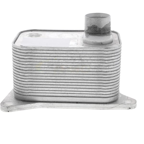 Oljekylare, motor