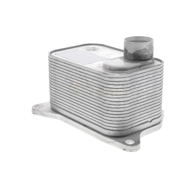 Oljekylare, motor