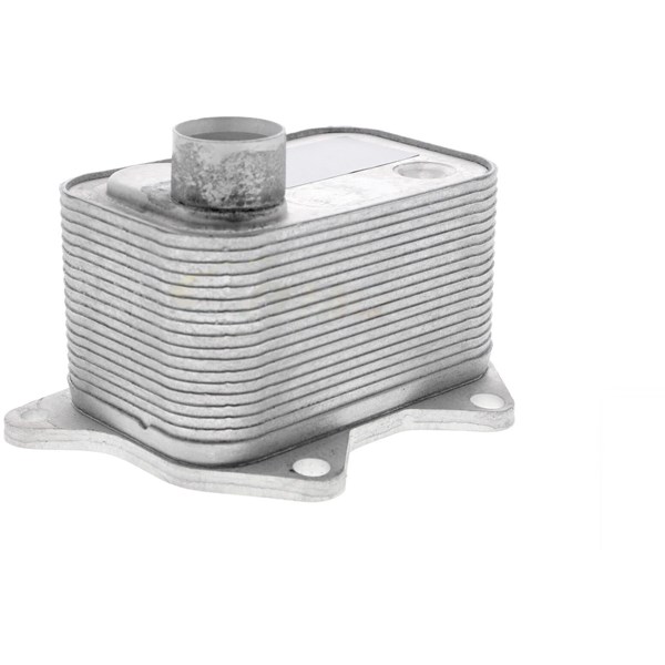 Oljekylare, motor