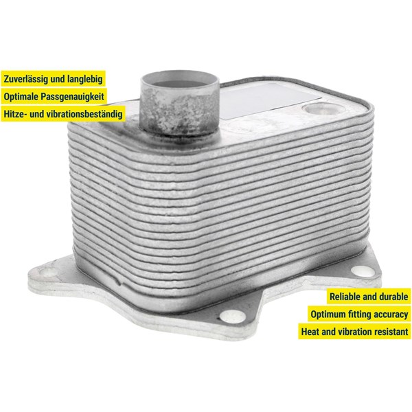 Oljekylare, motor