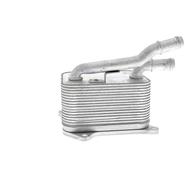 Oljekylare, motor