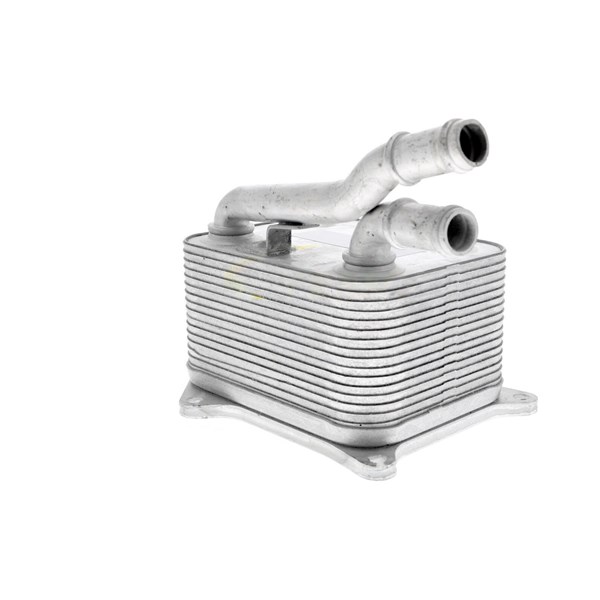 Oljekylare, motor