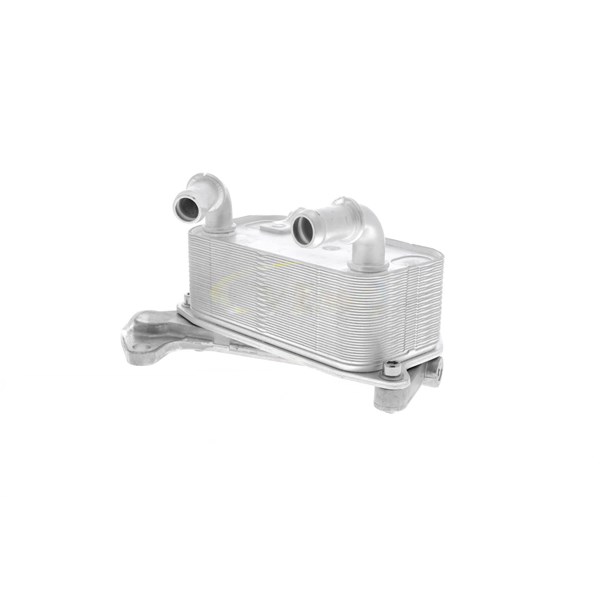 Oljekylare, motor