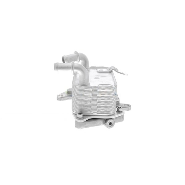 Oljekylare, motor