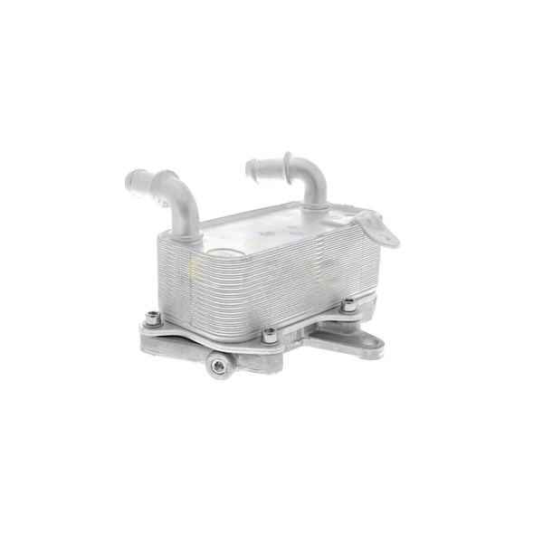 Oljekylare, motor