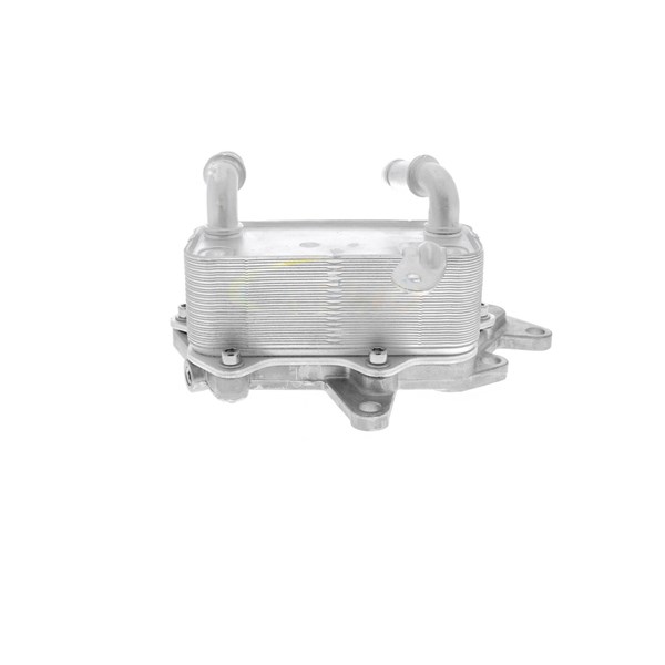 Oljekylare, motor