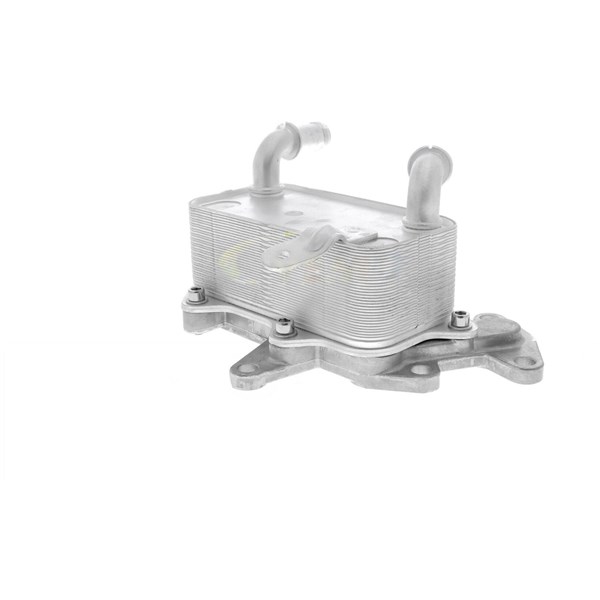Oljekylare, motor