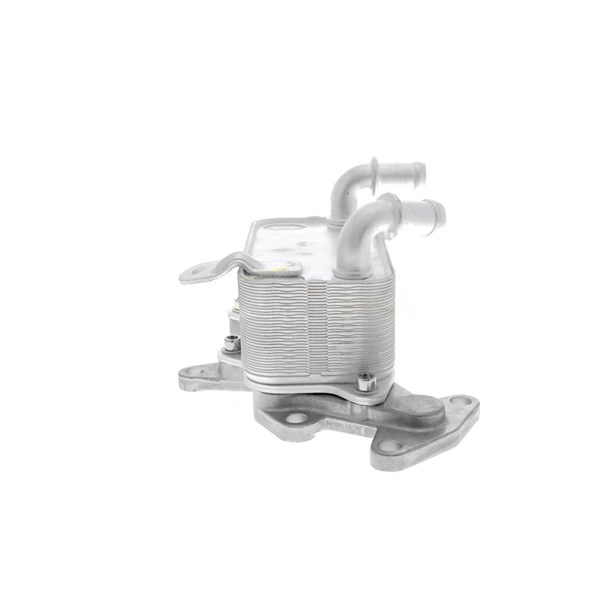 Oljekylare, motor
