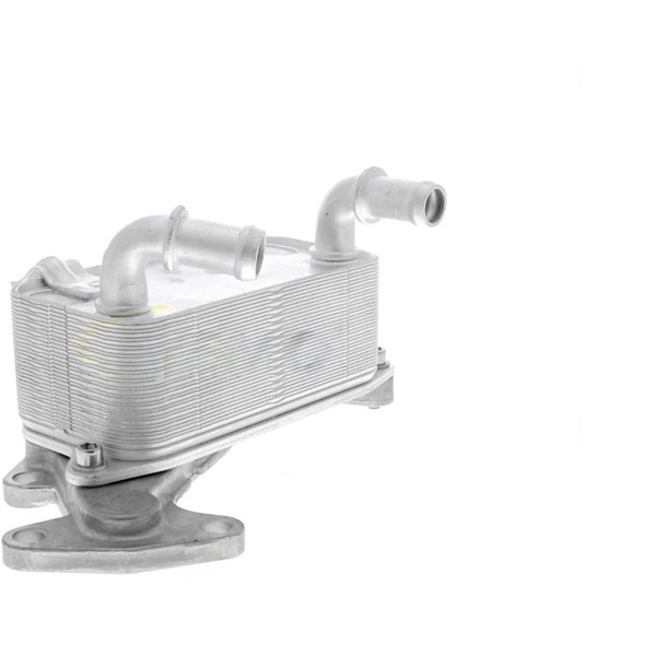Oljekylare, motor
