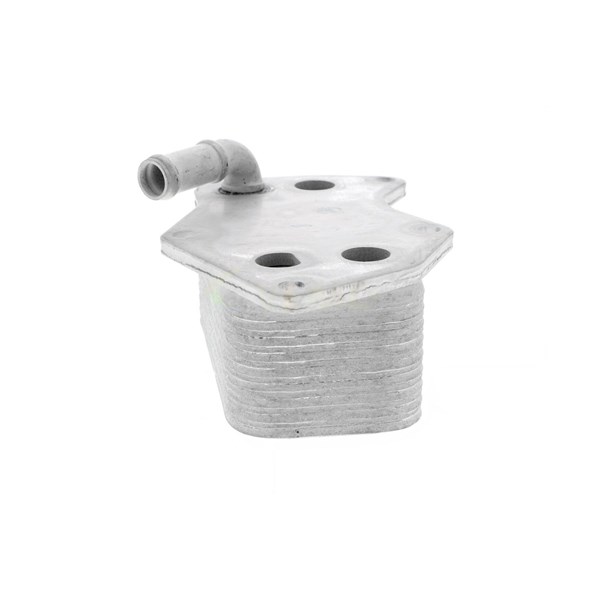 Oljekylare, motor