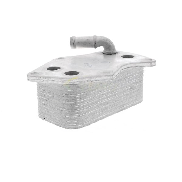 Oljekylare, motor