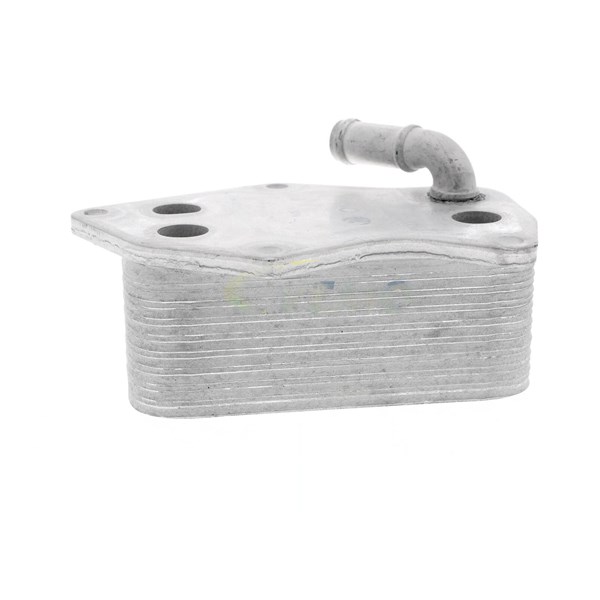 Oljekylare, motor