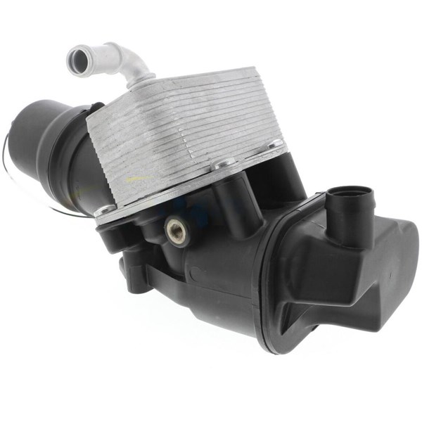 Oljekylare, motor