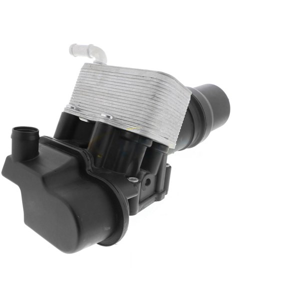 Oljekylare, motor