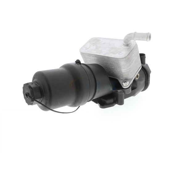 Oljekylare, motor