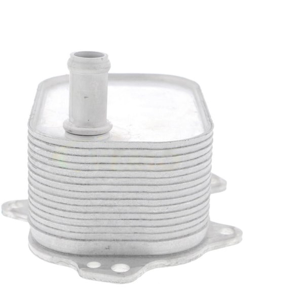 Oljekylare, motor