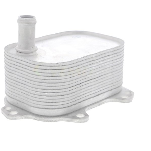 Oljekylare, motor