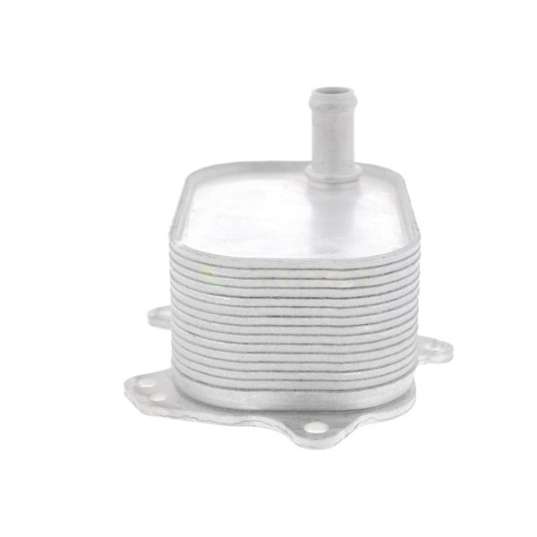 Oljekylare, motor