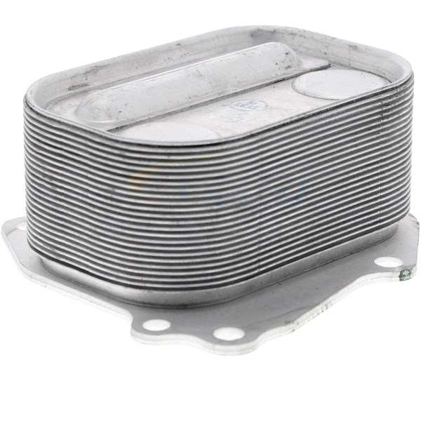 Oljekylare, motor