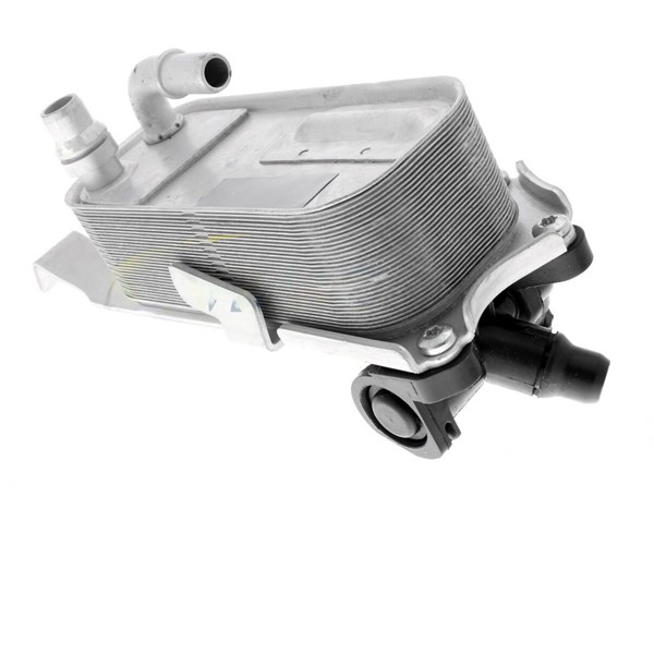 Oljekylare, motor