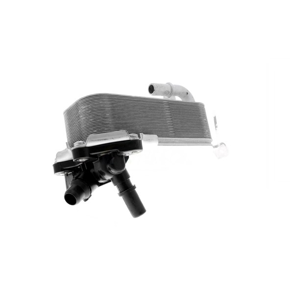 Oljekylare, motor