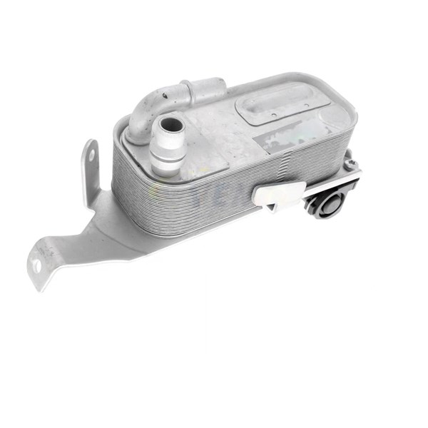Oljekylare, motor Oljekylare, motor