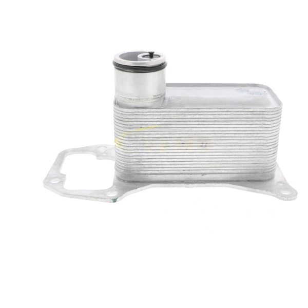 Oljekylare, motor