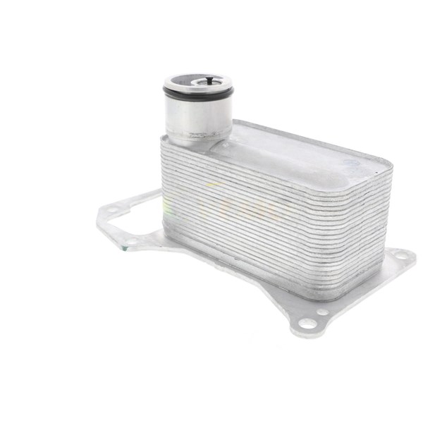 Oljekylare, motor