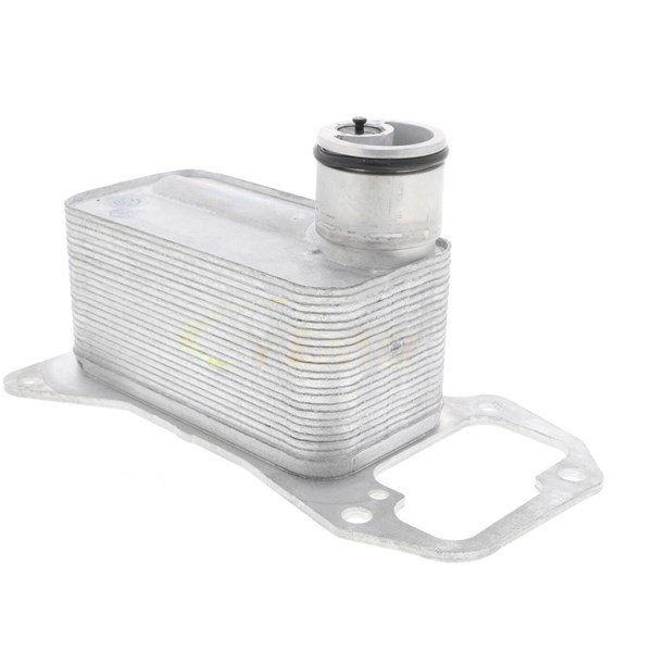 Oljekylare, motor